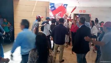 18012506 INGRESO MATTHEI CONSEJO UDI (EXTERIOR SALÓN) 01