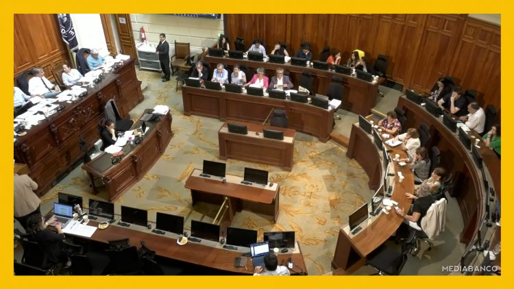 190125C01 APOYOS COMISIÓN DEL SENADO DESTACADA