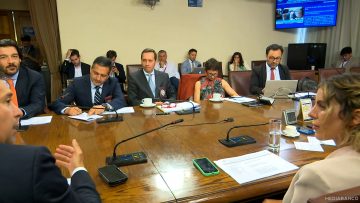 200125C13 APOYOS COMISIÓN DE SEGURIDAD CIUDADANA 01