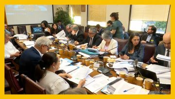 200125C25 APOYO COMISIÓN DE TRABAJO DEL SENADO 17
