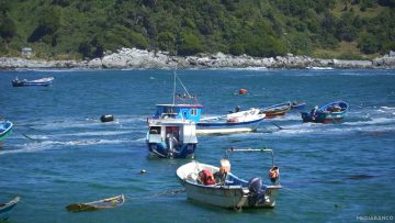 27012518 RESCATE BAHÍA MANSA 01