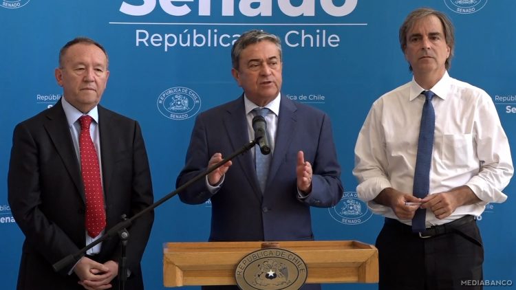 300125C01 DECLARACIONES SENADORES COLOMA-CRUZ-COKE Y GARCÍA RUMINOT 13