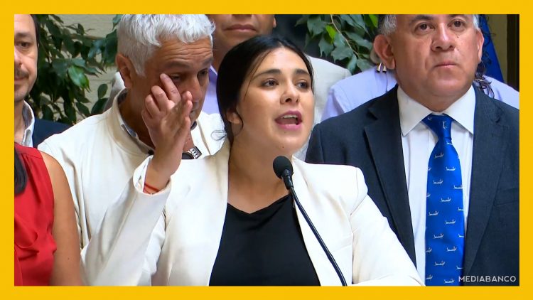 110325C02 DECLARACIONES DIPUTADA KAROL CARIOLA 01 DESTACADA