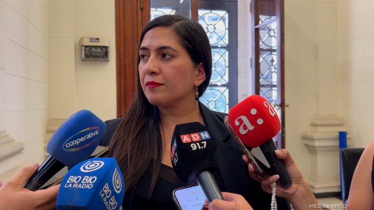 12032518 DECLARACIONES KARINA DELFINO 01