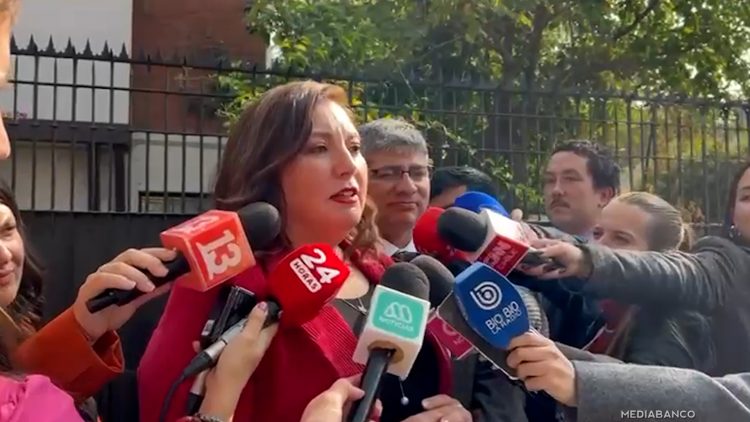 24042509 DECLARACIONES PAULINA VODANOVIC 01