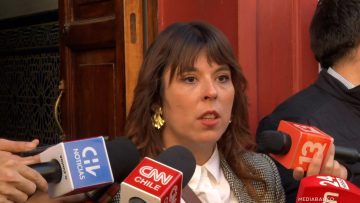 28042502 DECLARACIONES DE CONSTANZA MARTÍNEZ 01