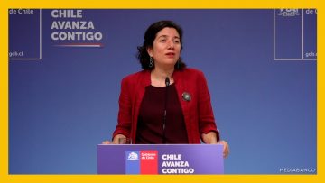 28042505 VOCERIA DE GOBIERNO AM (1)