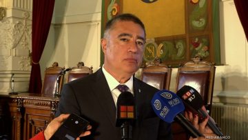 29042511 DECLARACIONES ALCALDE MARIO DESBORDES 01
