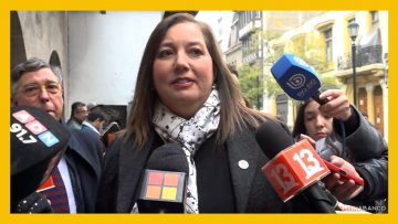 30042505 PAULINA VODANOVIC SOBRE APOYO A CAROLINA TOHÁ DEST