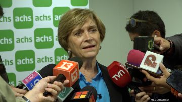 01052503 DECLARACIONES EVELYN MATTHEI 01