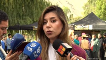 07052510 DECLARACIONES DIPUTADOS PS 02