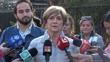 2202502 EVELYN MATTHEI Y PROPUESTAS PARA CONTROLAR LICENCIAS MÉDICAS 17