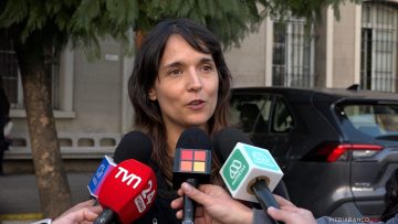 24052520 APOYO Y DECLARACIONES VELORIO TERESITA REYES 01