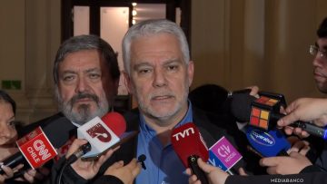 26052536 DECLARACIONES DEL PRESIDENTE DE LA ANEF 01