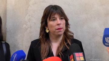 28052512 DECLARACIONES CONSTANZA MARTINEZ 01 (1)