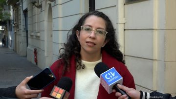 30052513 GAEL YEOMANS DENUNCIA SERVEL 01 (1)