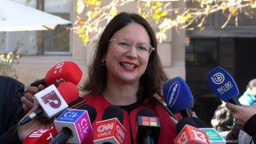 30052516 DECLARACIONES IRACÍ HASSLER 01 (1)