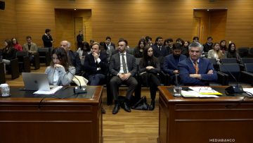 30052517 APOYOS TRIBUNAL CONSTITUCIONAL 01 (1)