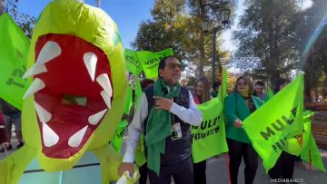 31052510 APOYO JAIME MULET EN LOS ANDES 01