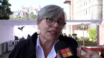 01062535 DECLARACIONES DIPUTADA LORENA FRIES 01