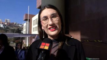 01062537 DECLARACIONES DIPUTADA EMILIA SCHNEIDER 01