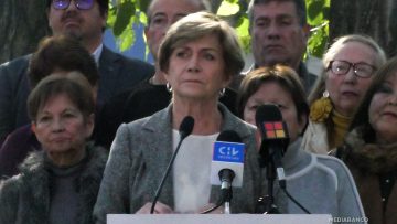 01062544 DECLARACIONES EVELYN MATTHEI 01