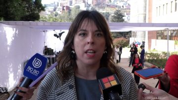 01062557 DECLARACIONES CONSTANZA MARTÍNEZ 01