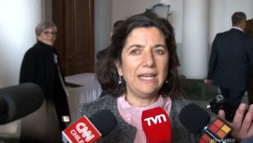 01062573 NUEVAS DECLARACIONES MINISTRA AISEN ETCHEVERRY 01