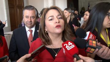 01062576 DECLARACIONES DIPUTADA JOANNA PEREZ 01