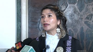 01062583 DECLARACIONES DIPUTADA ERICKA ÑANCO 01