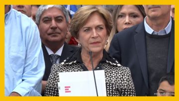 02062506 EVELUN MATTHEI INSCRIBE PRECANDIDATURA 27 (1)