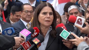 02062517 DECLARACIONES DIPUTADA XIMENA OSSANDÓN 01