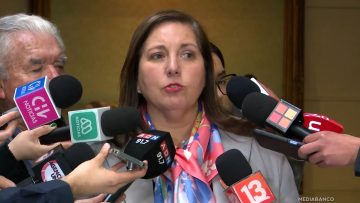 040625C10 DECLARACIONES SENADORA PAULINA VODANOVIC 05 (1)