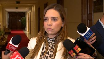 180625C07 DECLARACIONES DIPUTADA CAMILA FLORES 01