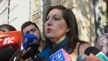 19062506 DECLARACIONES JAIME QUINTANA 0519062507 DECLARACIONES PAULINA VODANOVIC 05