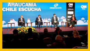 190625TEM10 APOYOS ENELA 2025 DEST