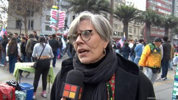 21062517 DECLARACIONES DIPUTADA FRIES (FA) 05