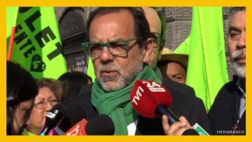 26062507 BANDERAZO MULET 17