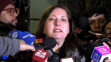 29062530 DECLARACIONES PAULINA VODANOVIC 01