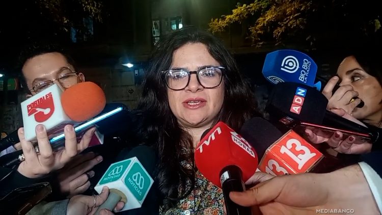 29062545 DECLARACIONES MINISTRA ORELLANA 01