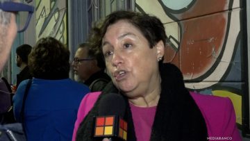 30062503 DECLARACIONES BEATRIZ SANCHEZ 06 (1)