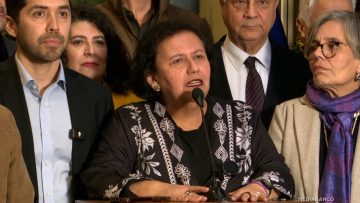 300625C05 PUNTO DE PRENSA DIPUTADOS OFICIALISTAS 01