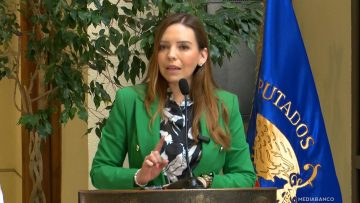 070725C04 DECLARACIONES DIPUTADA CAMILA FLORES 01