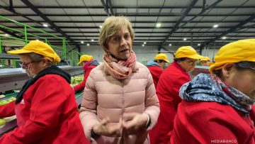 10072510 EVELYN MATTHEI POR ARANCEL AL COBRE 05 (2)