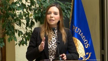 140725C02 DECLARACIONES DIPUTADA CAMILA FLORES 01