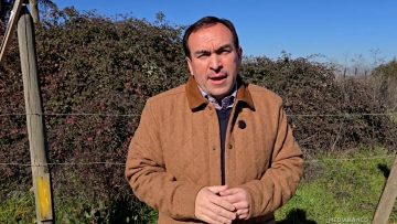 16072510 DIPUTADO DONOSO (UDI) POR DIRECTOR SII 01