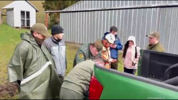 17072503 APOYO BÚSQUEDA UNIVERSITARIO PERDIDO EN CHILOÉ 01