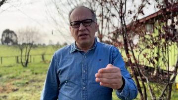 19072508 DIPUTADO ULLOA (IND-PPD) POR DIRECTOR SII 05