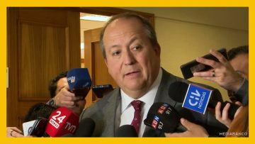 210725C04 DECLARACIONES DEL FISCAL NACIONAL DEST (1)