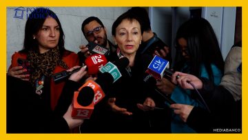 230725CO9 DECLARACIONES GLORIA ANA CHEVESICH DEST